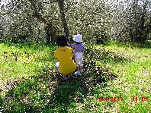 Pacina 2011