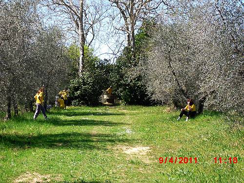 Pacina 2011