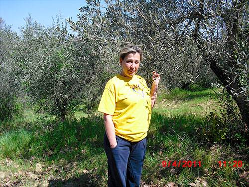 Pacina 2011