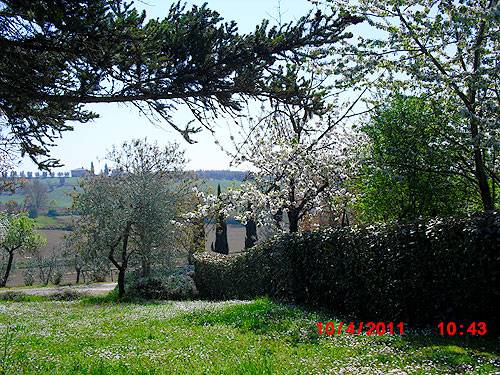 Pacina 2011