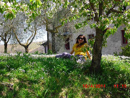 Pacina 2011