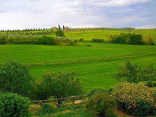 pacina 2014 CIMG3988