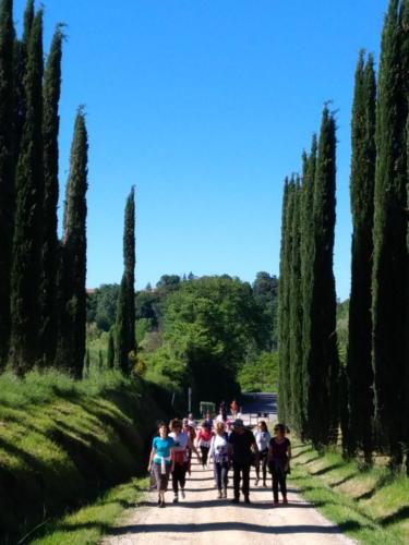 Pacina Primo incontro 2018