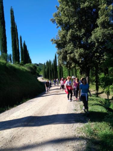 Pacina Primo incontro 2018